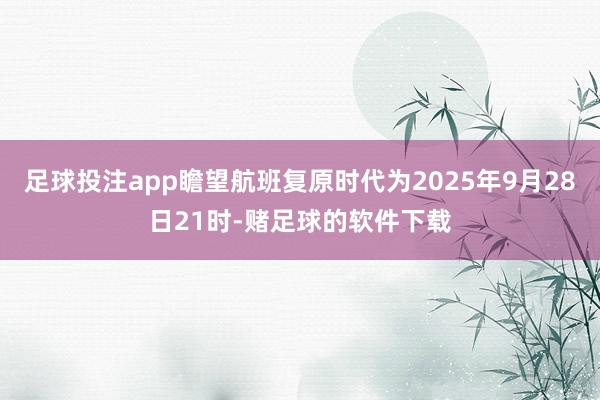 足球投注app瞻望航班复原时代为2025年9月28日21时-赌足球的软件下载