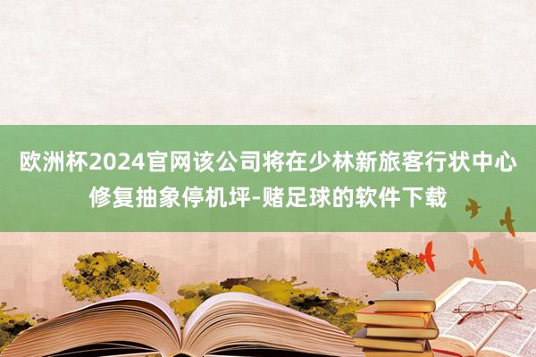 欧洲杯2024官网该公司将在少林新旅客行状中心修复抽象停机坪-赌足球的软件下载
