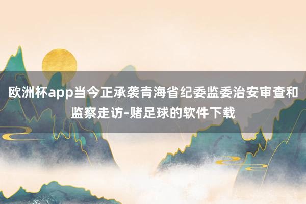 欧洲杯app当今正承袭青海省纪委监委治安审查和监察走访-赌足球的软件下载