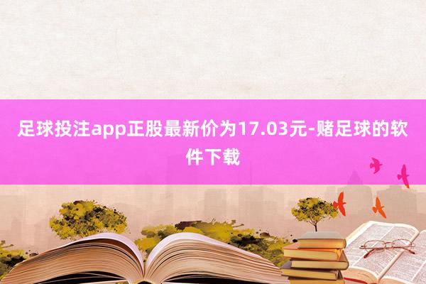 足球投注app正股最新价为17.03元-赌足球的软件下载