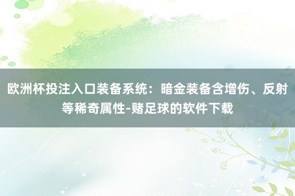 欧洲杯投注入口装备系统：暗金装备含增伤、反射等稀奇属性-赌足球的软件下载