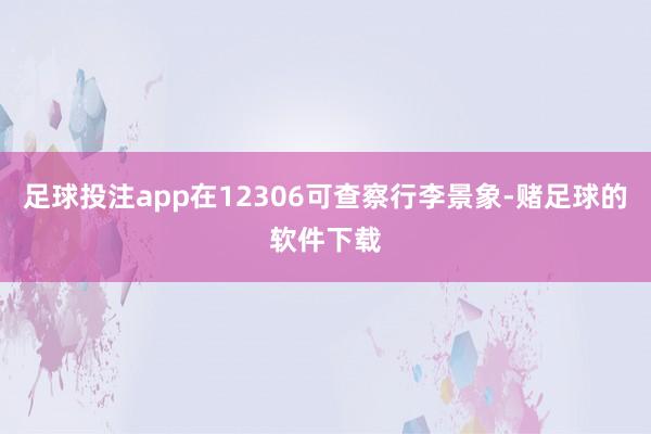 足球投注app在12306可查察行李景象-赌足球的软件下载