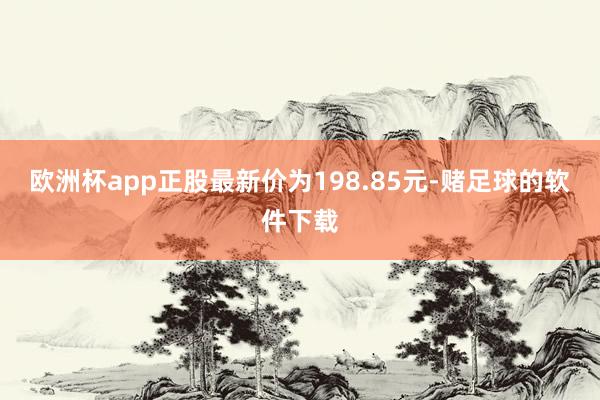 欧洲杯app正股最新价为198.85元-赌足球的软件下载