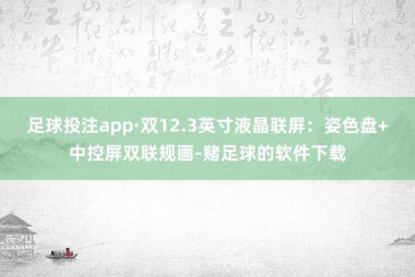 足球投注app·双12.3英寸液晶联屏：姿色盘+中控屏双联规画-赌足球的软件下载