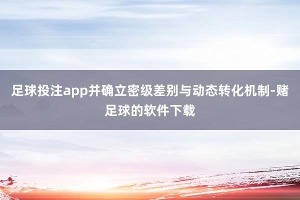足球投注app并确立密级差别与动态转化机制-赌足球的软件下载