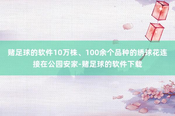 赌足球的软件10万株、100余个品种的绣球花连接在公园安家-赌足球的软件下载