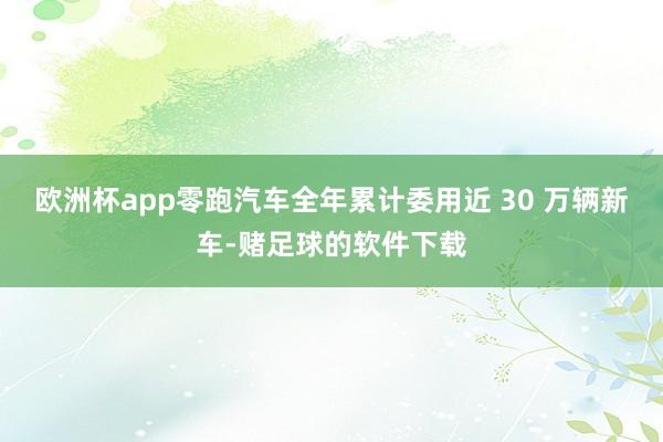 欧洲杯app零跑汽车全年累计委用近 30 万辆新车-赌足球的软件下载