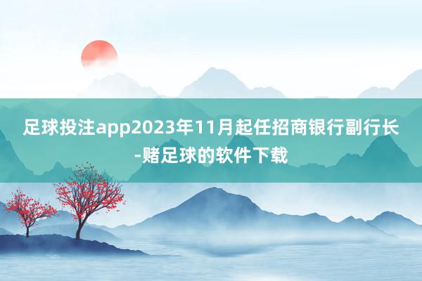 足球投注app2023年11月起任招商银行副行长-赌足球的软件下载