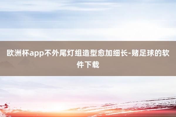 欧洲杯app不外尾灯组造型愈加细长-赌足球的软件下载