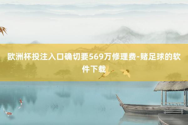 欧洲杯投注入口确切要569万修理费-赌足球的软件下载