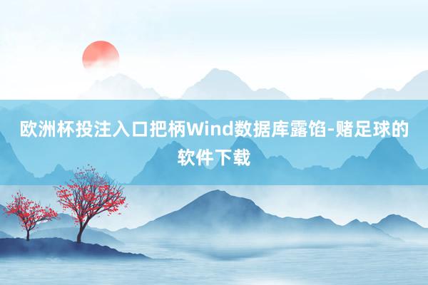 欧洲杯投注入口把柄Wind数据库露馅-赌足球的软件下载