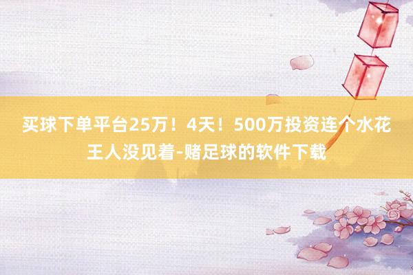 买球下单平台25万!4天!500万投资连个水花王人没见着-赌足球的软件下载