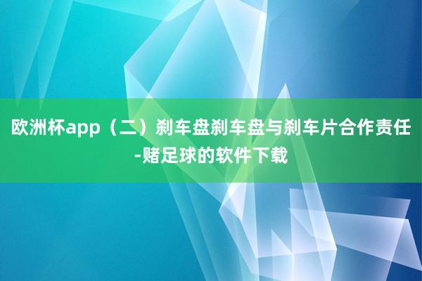 欧洲杯app(二)刹车盘刹车盘与刹车片合作责任-赌足球的软件下载