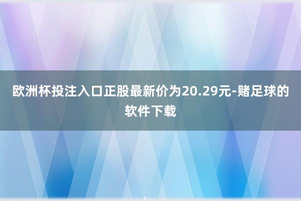 欧洲杯投注入口正股最新价为20.29元-赌足球的软件下载