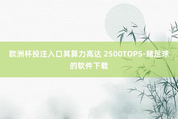 欧洲杯投注入口其算力高达 2500TOPS-赌足球的软件下载