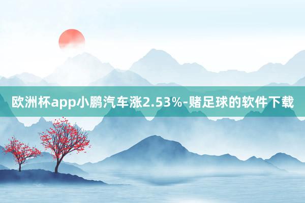 欧洲杯app小鹏汽车涨2.53%-赌足球的软件下载