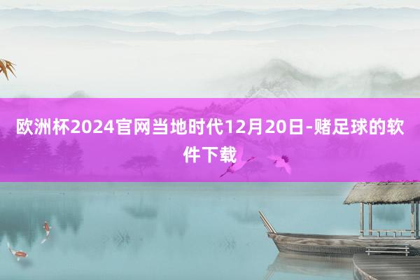欧洲杯2024官网当地时代12月20日-赌足球的软件下载