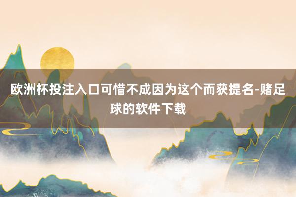 欧洲杯投注入口可惜不成因为这个而获提名-赌足球的软件下载