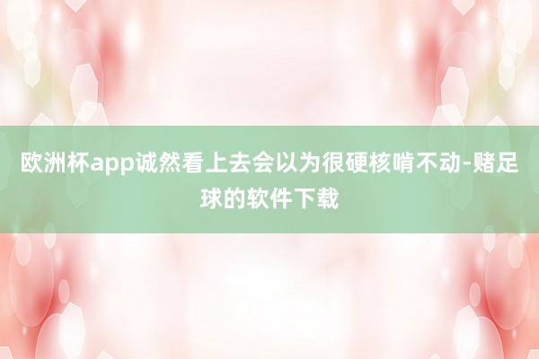 欧洲杯app诚然看上去会以为很硬核啃不动-赌足球的软件下载