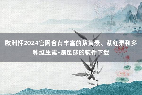 欧洲杯2024官网含有丰富的茶黄素、茶红素和多种维生素-赌足球的软件下载