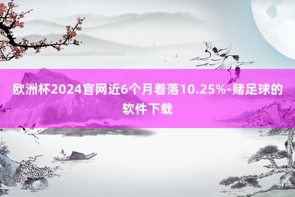 欧洲杯2024官网近6个月着落10.25%-赌足球的软件下载