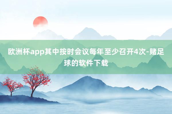 欧洲杯app其中按时会议每年至少召开4次-赌足球的软件下载