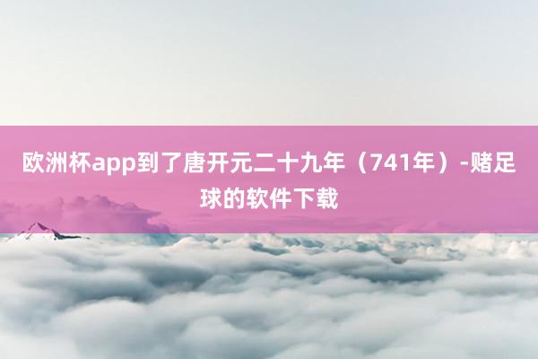 欧洲杯app到了唐开元二十九年（741年）-赌足球的软件下载