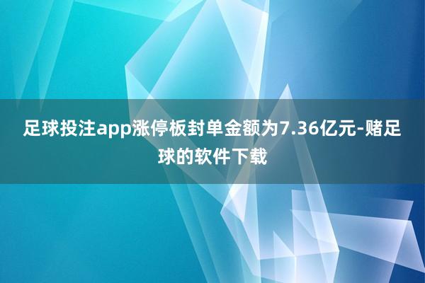 足球投注app涨停板封单金额为7.36亿元-赌足球的软件下载
