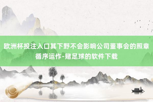 欧洲杯投注入口其下野不会影响公司董事会的照章循序运作-赌足球的软件下载