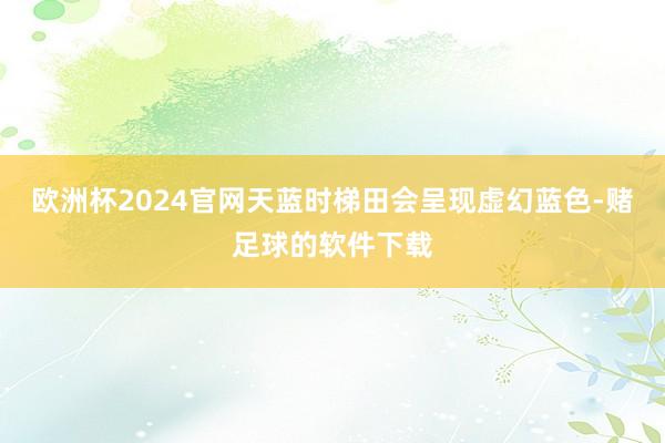 欧洲杯2024官网天蓝时梯田会呈现虚幻蓝色-赌足球的软件下载