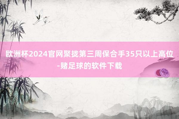 欧洲杯2024官网聚拢第三周保合手35只以上高位-赌足球的软件下载
