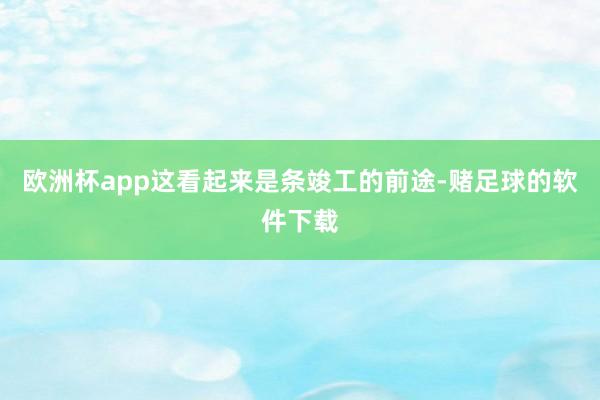 欧洲杯app这看起来是条竣工的前途-赌足球的软件下载