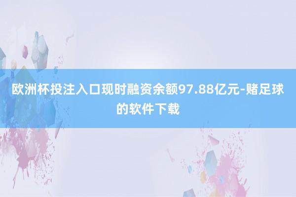 欧洲杯投注入口现时融资余额97.88亿元-赌足球的软件下载