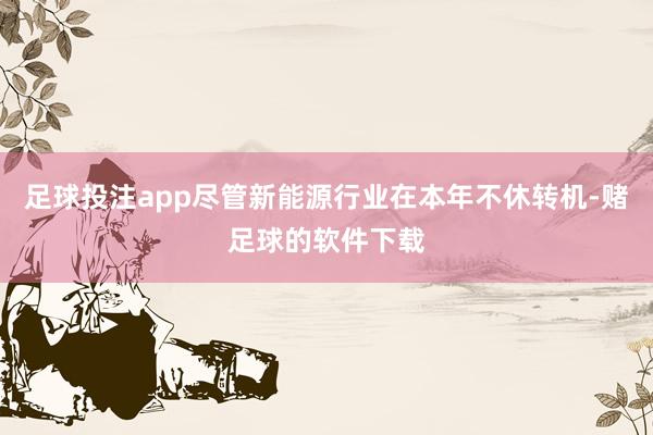 足球投注app尽管新能源行业在本年不休转机-赌足球的软件下载