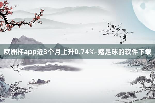 欧洲杯app近3个月上升0.74%-赌足球的软件下载