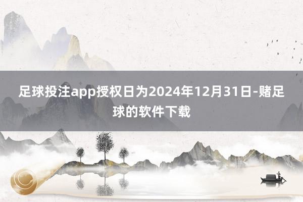足球投注app授权日为2024年12月31日-赌足球的软件下载