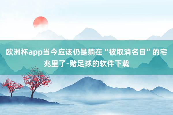 欧洲杯app当今应该仍是躺在“被取消名目”的宅兆里了-赌足球的软件下载