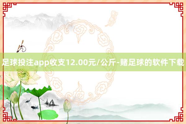 足球投注app收支12.00元/公斤-赌足球的软件下载
