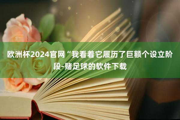 欧洲杯2024官网“我看着它履历了巨额个设立阶段-赌足球的软件下载