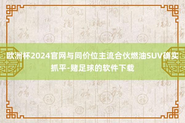 欧洲杯2024官网与同价位主流合伙燃油SUV确实抓平-赌足球的软件下载