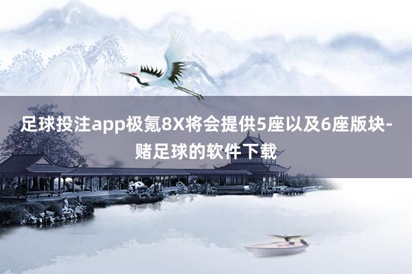 足球投注app极氪8X将会提供5座以及6座版块-赌足球的软件下载