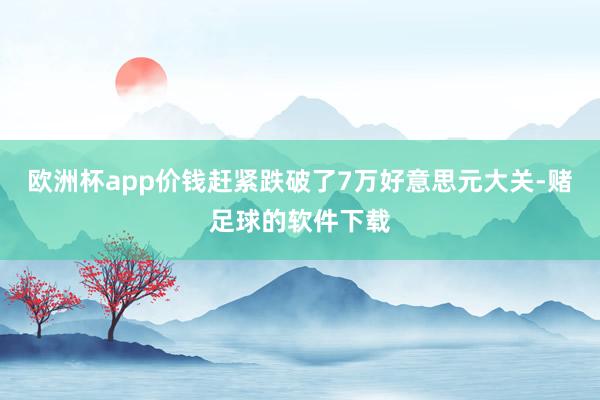 欧洲杯app价钱赶紧跌破了7万好意思元大关-赌足球的软件下载