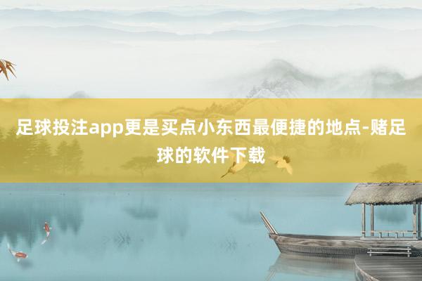 足球投注app更是买点小东西最便捷的地点-赌足球的软件下载