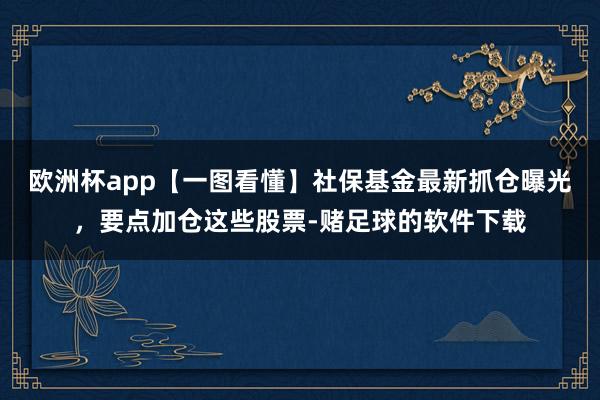 欧洲杯app【一图看懂】社保基金最新抓仓曝光，要点加仓这些股票-赌足球的软件下载