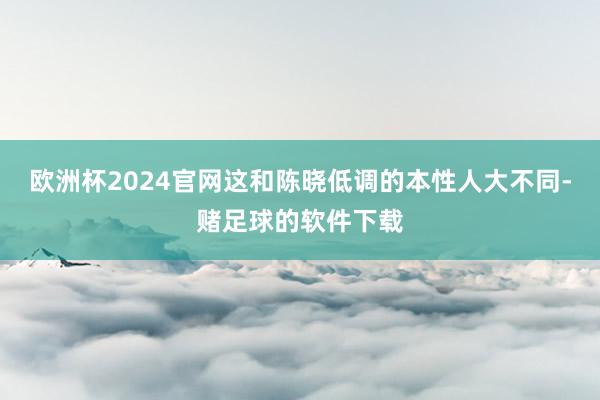 欧洲杯2024官网这和陈晓低调的本性人大不同-赌足球的软件下载
