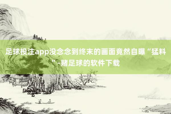 足球投注app没念念到终末的画面竟然自曝“猛料”-赌足球的软件下载