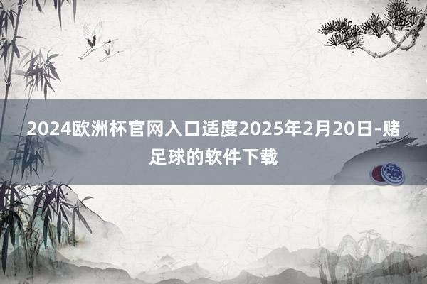 2024欧洲杯官网入口适度2025年2月20日-赌足球的软件下载