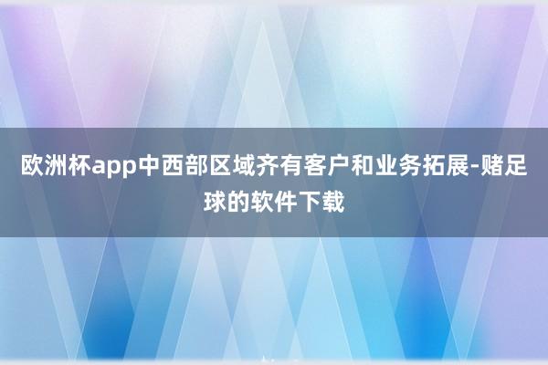 欧洲杯app中西部区域齐有客户和业务拓展-赌足球的软件下载