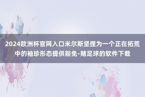 2024欧洲杯官网入口米尔斯坚捏为一个正在拓荒中的袖珍形态提供豁免-赌足球的软件下载