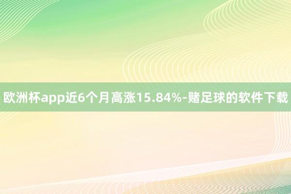 欧洲杯app近6个月高涨15.84%-赌足球的软件下载